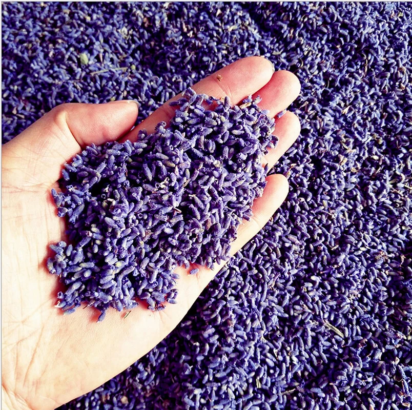 New Real A~5A Natural lasting Lavender Purple lavender Dried Flower particles Bag Pillow lavender sachets for   car