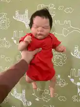 

FBB 19inches Reborn Cecily Lifelike Soft Touch Reborn Baby Doll Like Picture Toys For Children