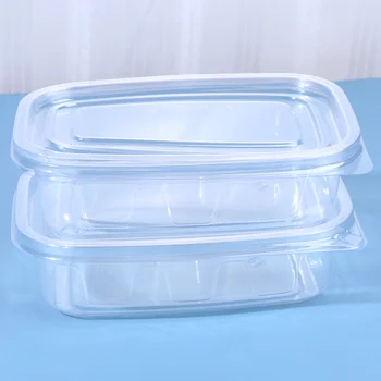 

10pcs Disposable Plastic Boxes with Cover Portable Fruits Case One-off Takeout Food Containers for Home Shop (Transparent)