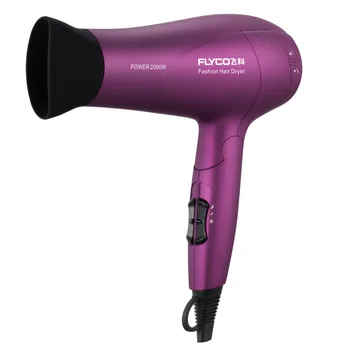 

Flying Flagship Store Flyco Electrical Blow Dryer Household Power Hair Dryer Heating and Cooling Air Negative Ion Hair Salon FH6