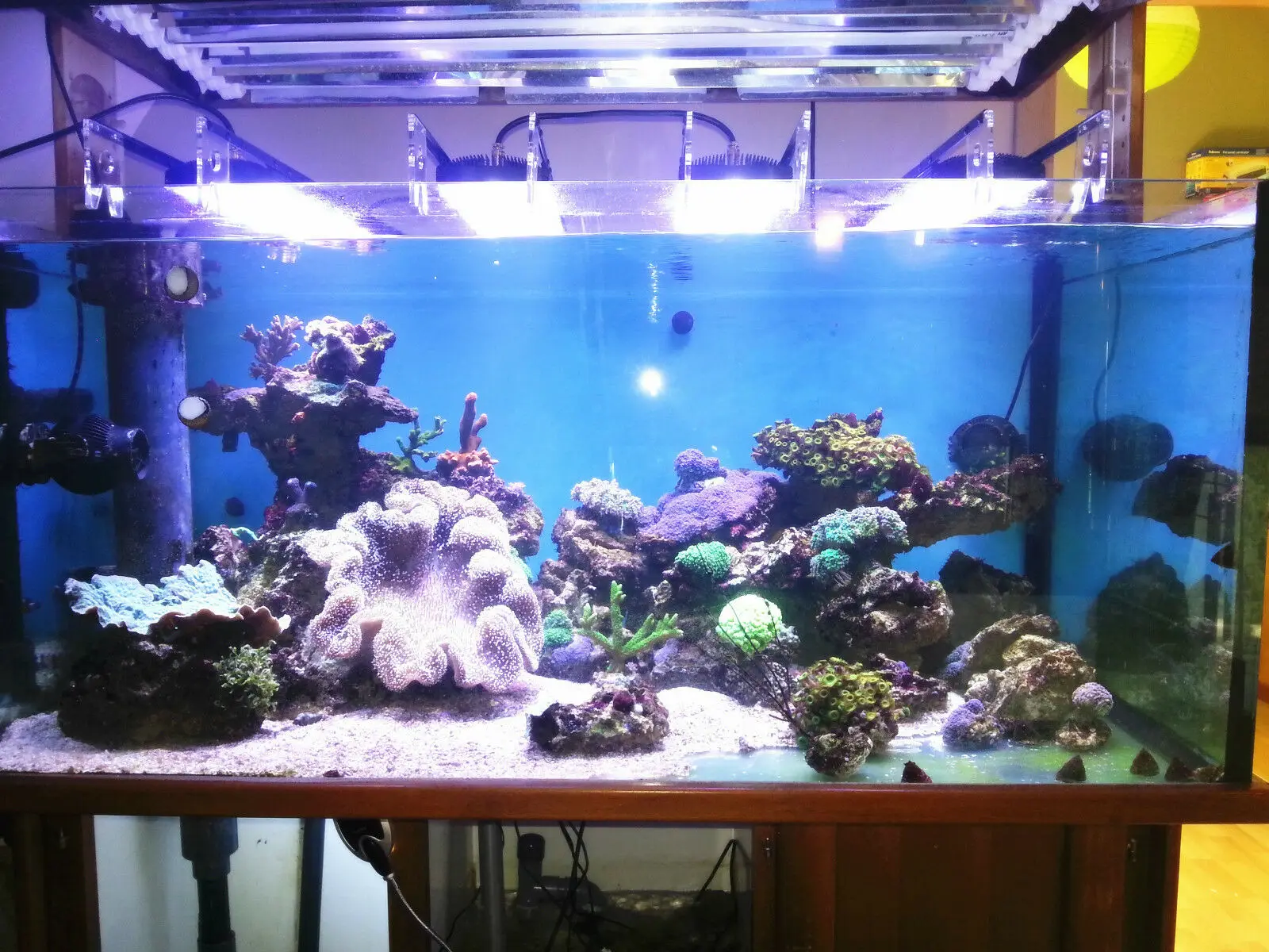 PopBloom 8 см белый кронштейн и 25 черный рельсовый комплект для светодиодного