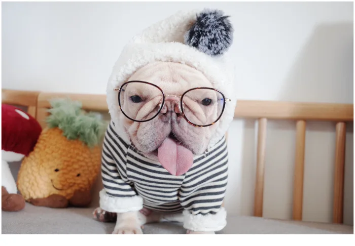 11752592020_462396980