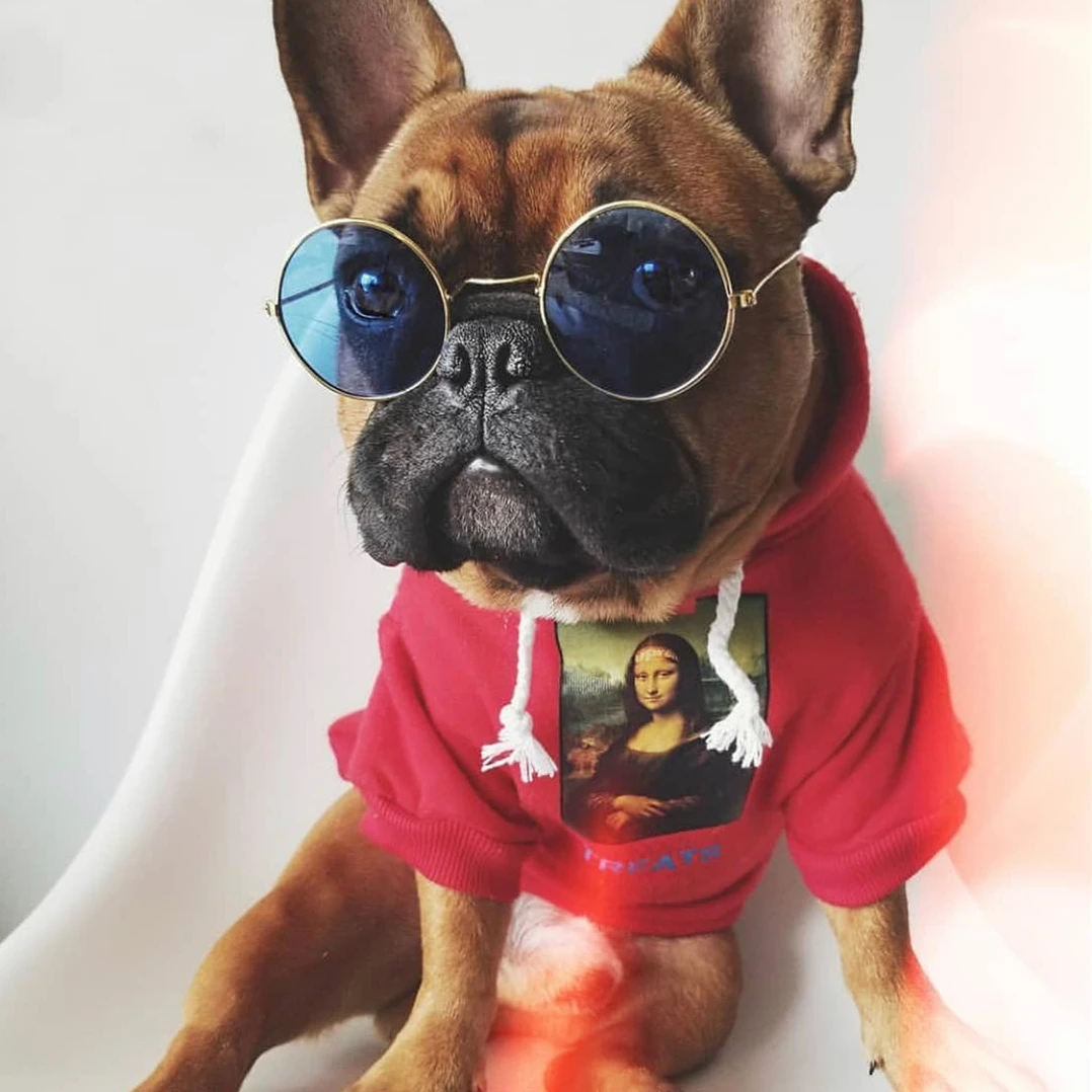 Французская одежда для бульдога собака толстовка Adidog теплая спортивная ретро для собак Толстовка с капюшоном Домашние животные одежда для щенков и Собак Мопс щенок одежда чихуахуа