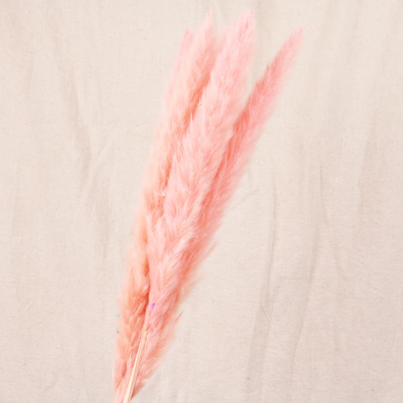 30pcs Small Pampas Grass Bulrush Natural Dried Phragmites Christmas Home Decor Diy Dried Real Flowers Bouquet Flower Arrangement