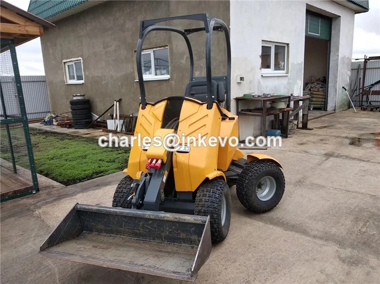 200 mini loader (12)