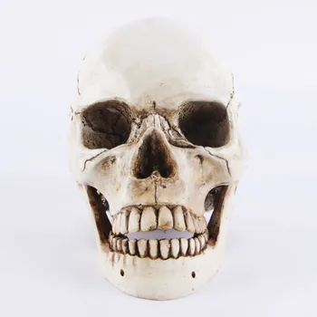 

Halloween Accessories Skull Resin Head Personality Decoration Crafts Aquarium Decoration Bone Skull Head
