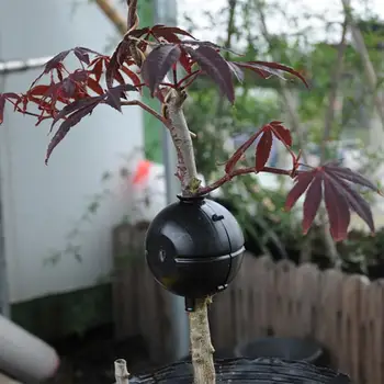 

Plant High-pressure Propagation Box Plant Rooting Device Rooting Propagation Device Cutting Grafting Rooting Box