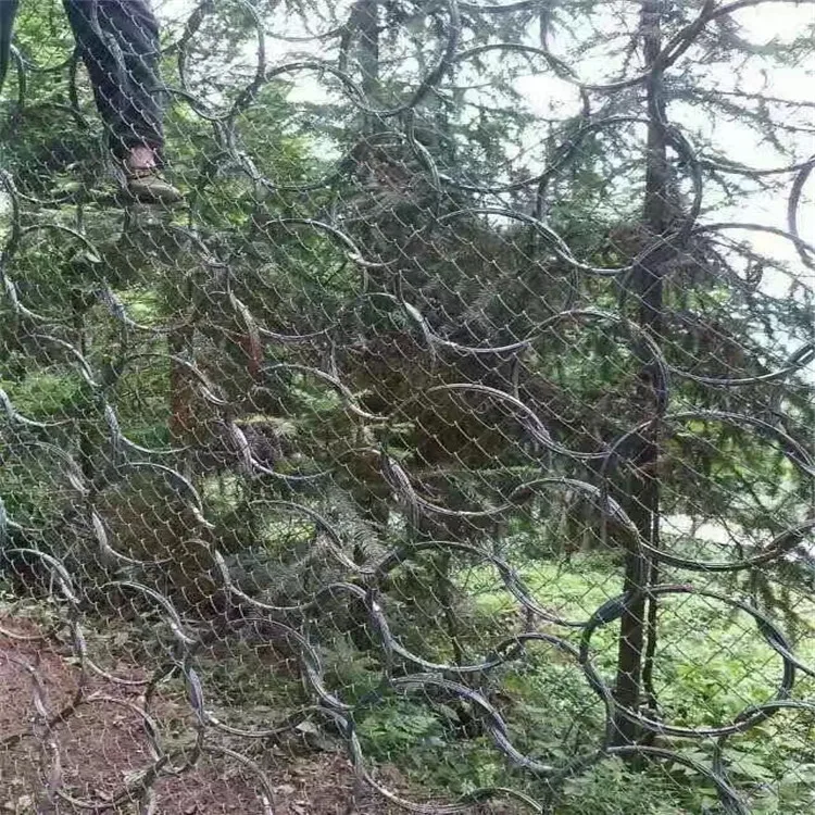 Manufacturers Direct Selling Rxi-050 Passive Protective Net Ring Network Slope Protection Net Rockfall Hold up Steel Wire Grille
