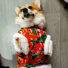 https://ae01.alicdn.com/kf/H37114fd4164c4d1092a081ad6c8d888an/Thickening-of-pet-clothes-qiu-dong-Chinese-wind-teddy-corgi-northeast-big-cotton-padded-jacket-dog.jpg_220x220.jpg