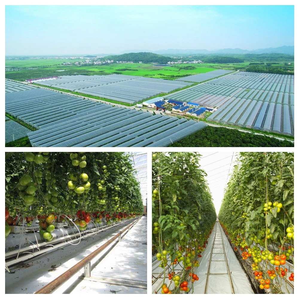 光影33魔术手拼图