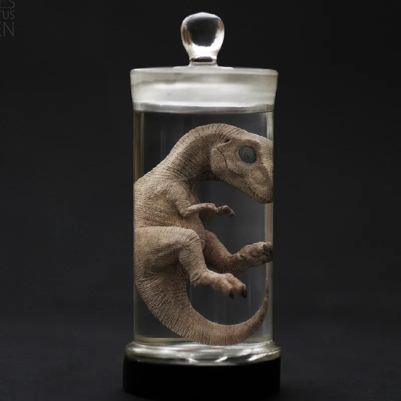 REBOR Resin Tyrannosaurus Velociraptor Embryo Model for Fans Collection and Holiday Gift