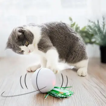 

Funny Cat Teasing LED Glow Ball Toy with Feathers USB Electric Toy ABS Easy to Control and Portable for Kitten 6.4cm