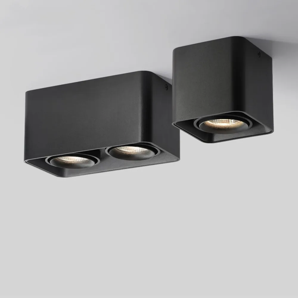 

Modern LED Ceiling Light Lamp 24W 20W 10W Single/Double Head Spot light Surface Mount Led Ceiling Lighting AC 110V/220V