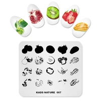 KADS Nail Stamping Plates Nature 007 Various Color Fruit Image Nail Art Stamp Template Stencil for Nails Manicure tool Print 2