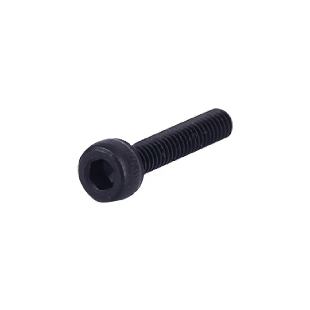 

Hexagon socket head 2.5x12 screws