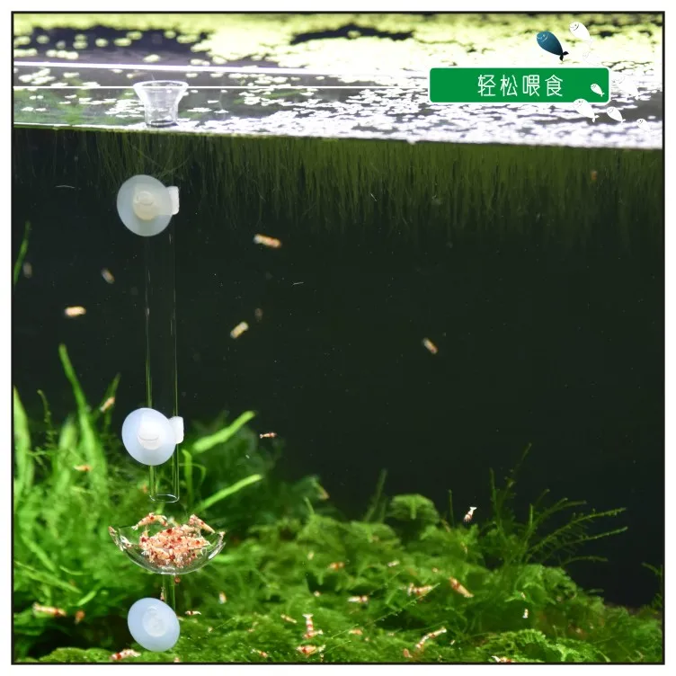 TB2Z488dqagSKJjy0FhXXcrbFXa_!!756162672