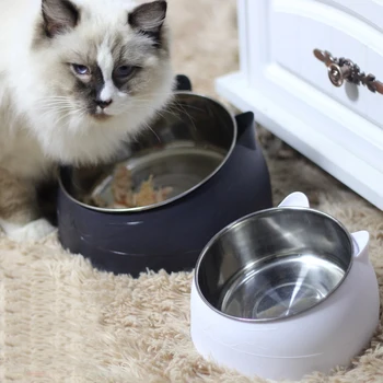 

15 Degree Slanted Bowl for Dogs and Cats, Elevated Dog Bowl Raised Dog Feeder for Food and Water,L