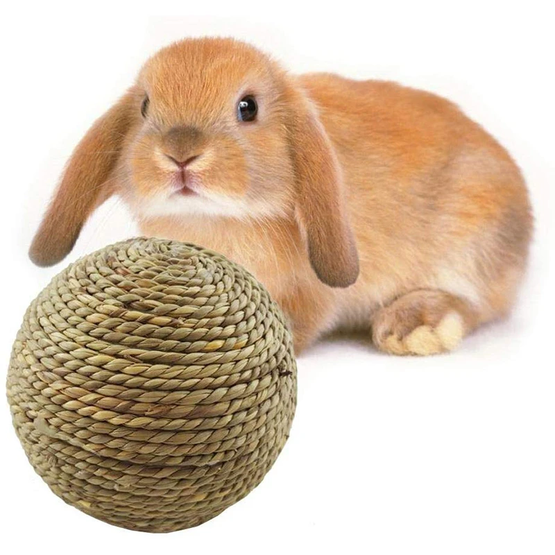 rabbit chew toys
