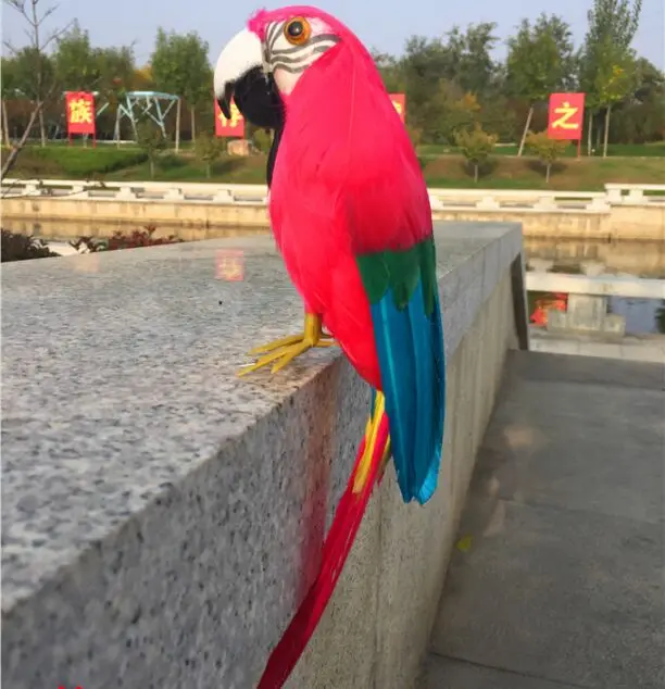 泡 羽オウム鳥約 30 センチメートル赤羽オウムモデル小道具 庭の装飾クリスマスギフト W06 ぬいぐるみ フラシ天 動物 Aliexpress