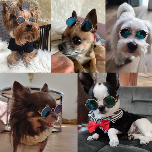 애완 동물 고양이 안경 개 애완 동물 제품 안경 고양이 작은 개 장난감 눈 착용 선글라스 사진 소품, 애완 동물 고양이 액세서리 배송 24 시간 3