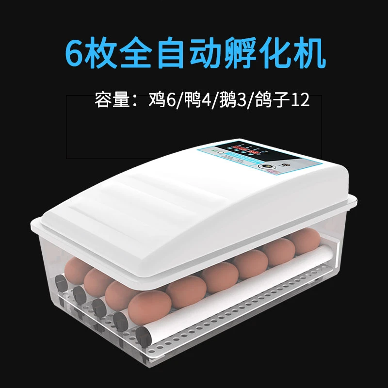 Weizhen автоматический инкубатор маленький бытовой мини инкубатор маленькое яйцо инкубационная коробка курица утка инкубатор для гусей