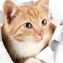 3D милый котенок наклейка на крышку унитаза дети спальня стены Deocration Кот мультфильм стикер на холодильник