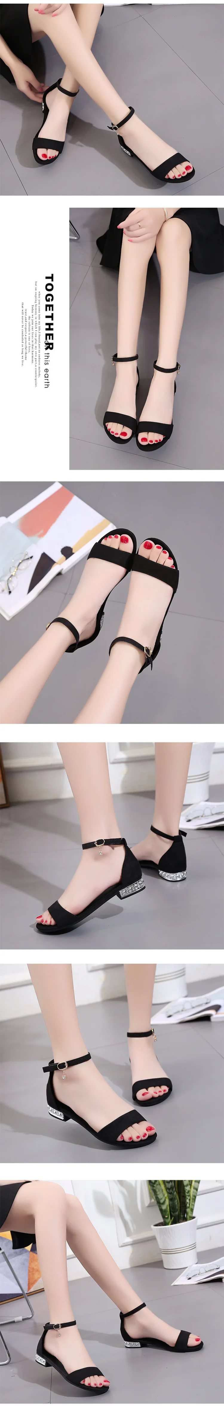 ia_5400000066