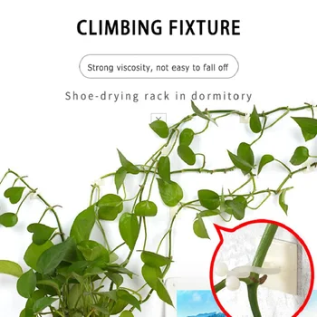 

3Size Wall Rattan Clamp Clip Invisible Vine Climbing Sticky Hook Rattan Fixed Bracket Plant Stent Home Balcony Garden Decoration