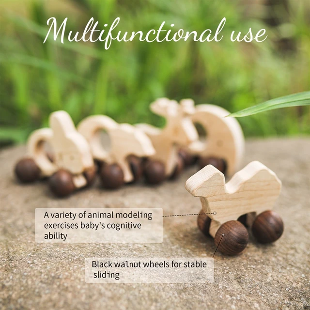 Baby Newborn Wooden Toys 1Pc Maple Wood Animals Cars Montessori Creative Educational Building Blocks Infant Teething Birth Gifts 5