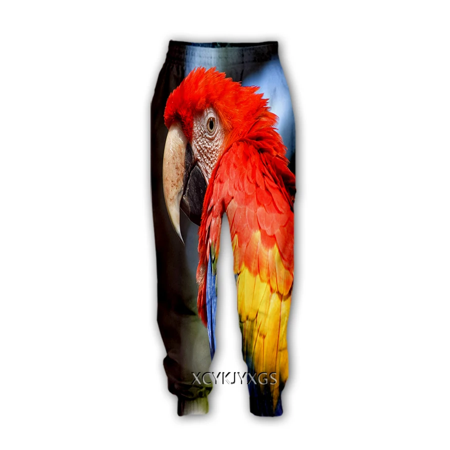 

xinchenyuan Animal Parrot 3D Print Casual Pants Sweatpants Straight Pants Sweatpants Jogging Pants Trousers K27