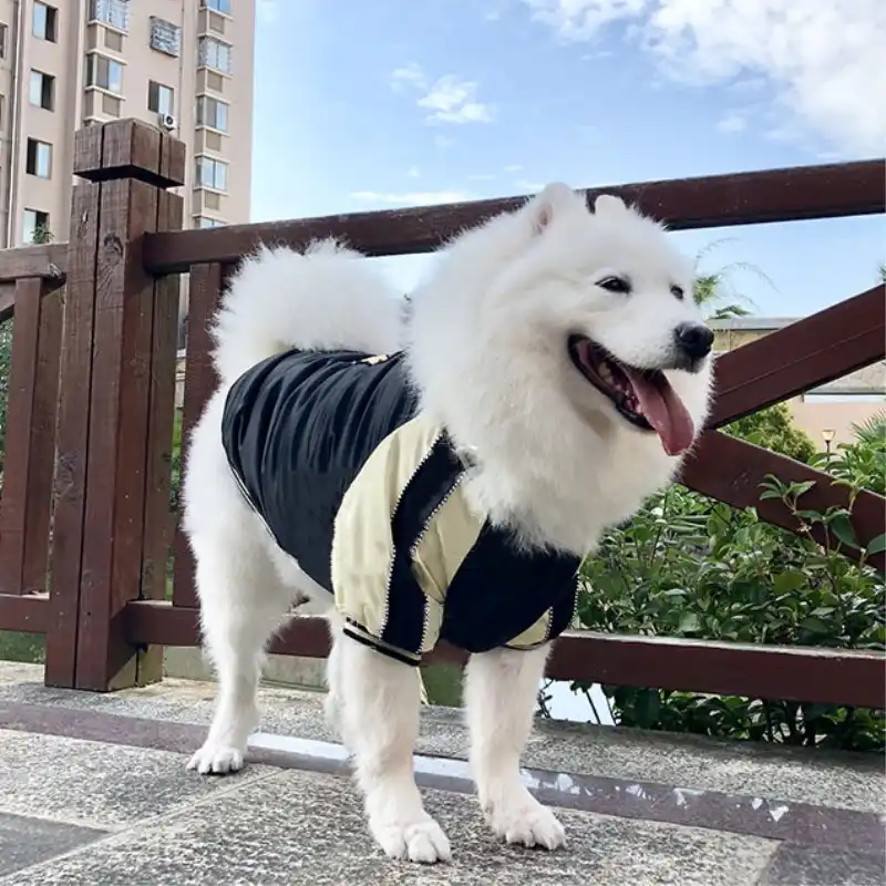 husky clothes
