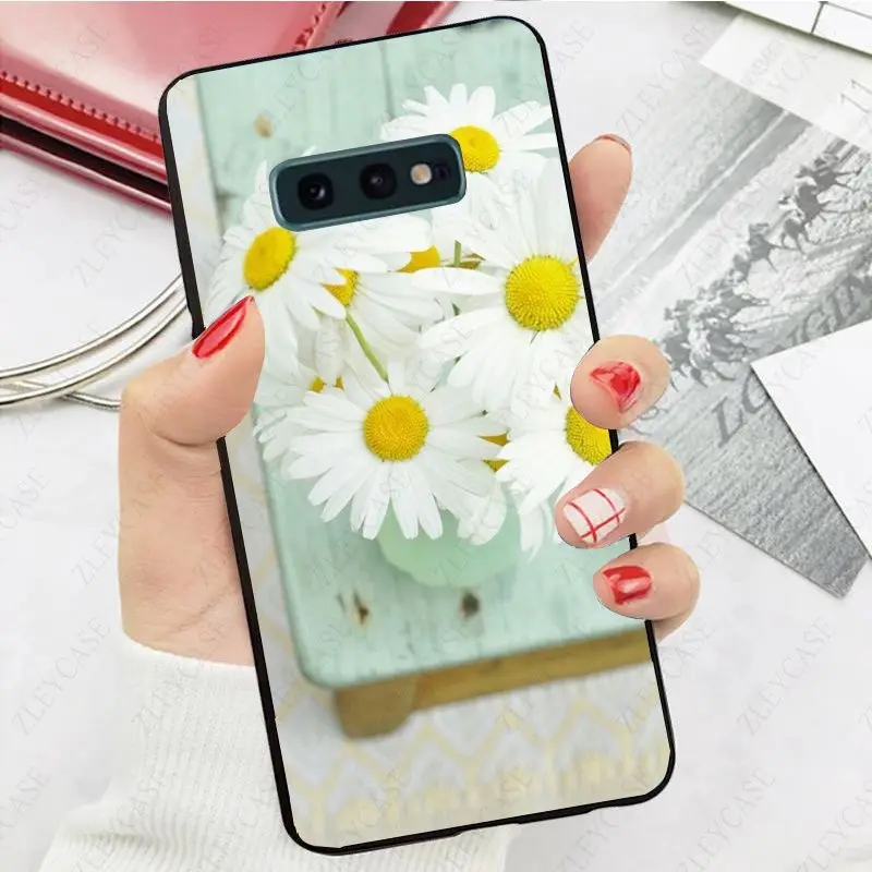 daisy flower