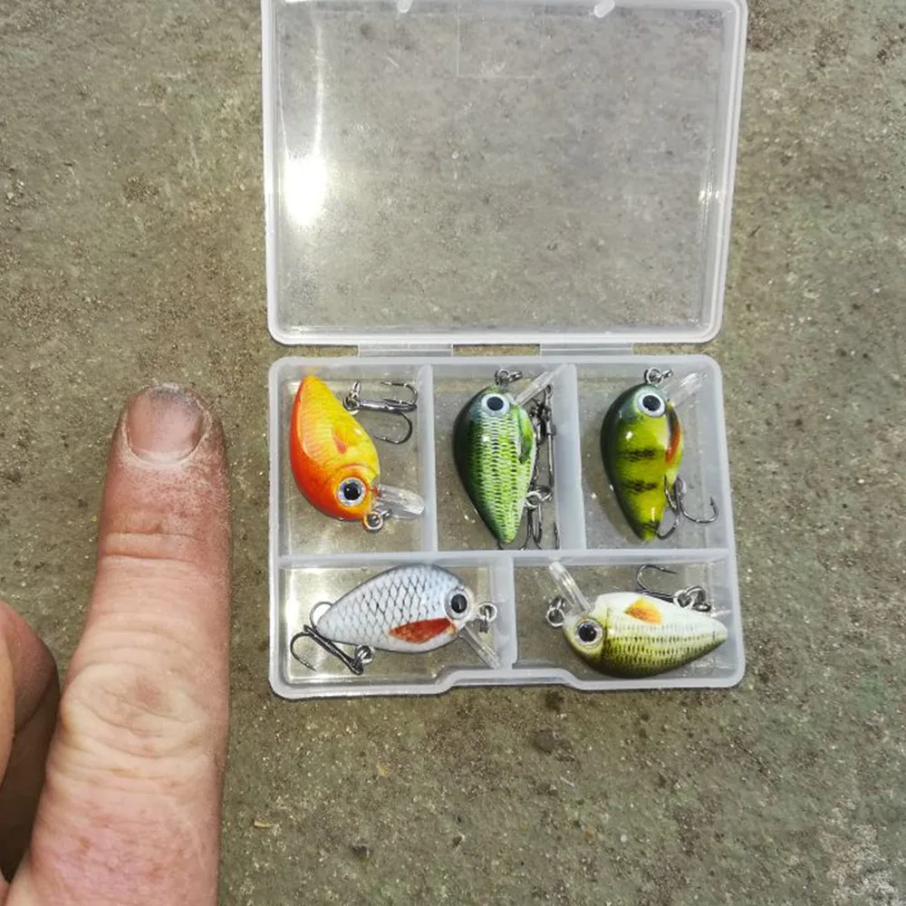 TREHOOK ̴ ũũƮ  ̳, ũũ  Ʈ, ϵ ÷ ŰƮ, ΰ  ̳ ũ, 1.8g, 3cm, 5 