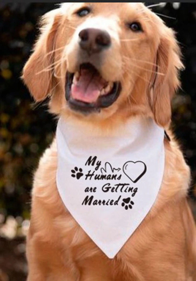 2 - 11962408149_1242344829