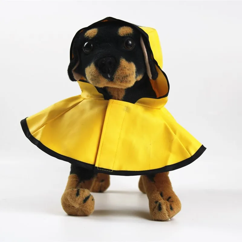 13636888182_238238974