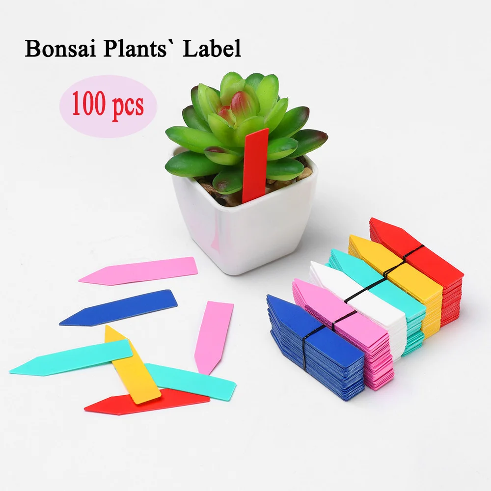 Classification Marker Garden Tools Nursery Pot Seedling Tags Plants Label