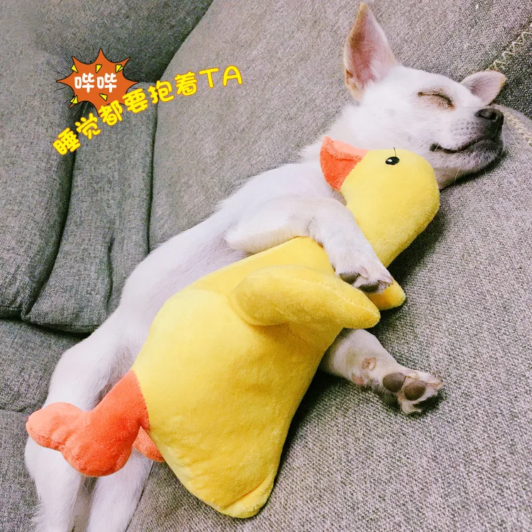 Pets Gogo Toys звуковая ворсовая утенок особенный гость пудель чем Мишка ковш