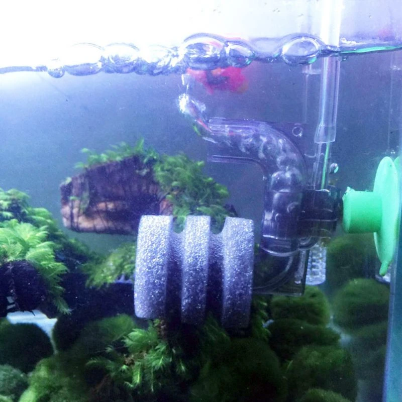 ミニ水槽フィルタ水槽エビタンク池エアーポンプスポンジフィルター フィルター アクセサリー Aliexpress ミニ水槽フィルタ水槽エビタンク池エアーポンプスポンジフィルター フィルター アクセサリー Aliexpress