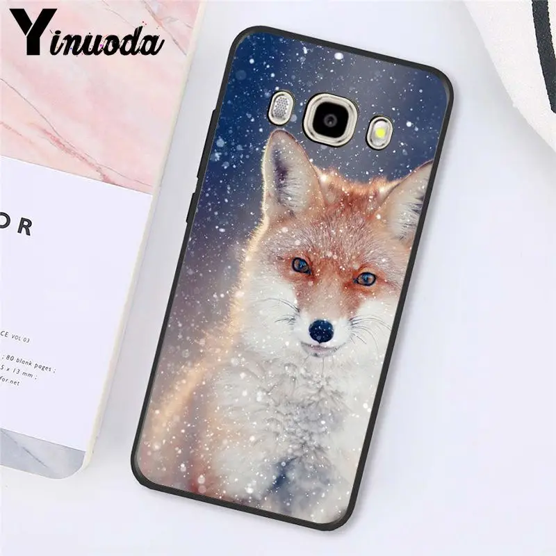 Fox Animal