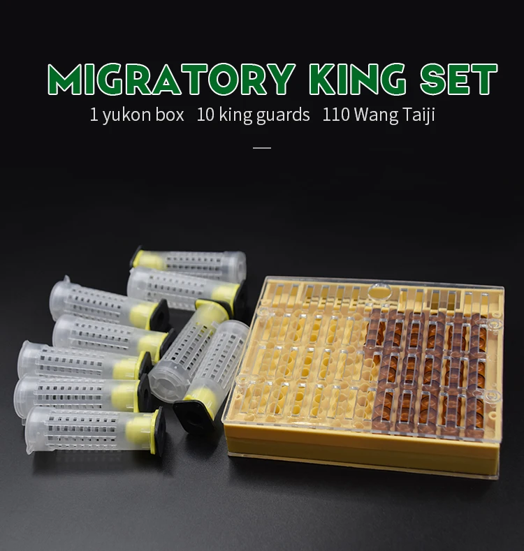 Beekeeping tools plastic Queen Rearing System Cultivating Box Cell Cups Bee Catcher Cage Beekeeping Tool Equipment