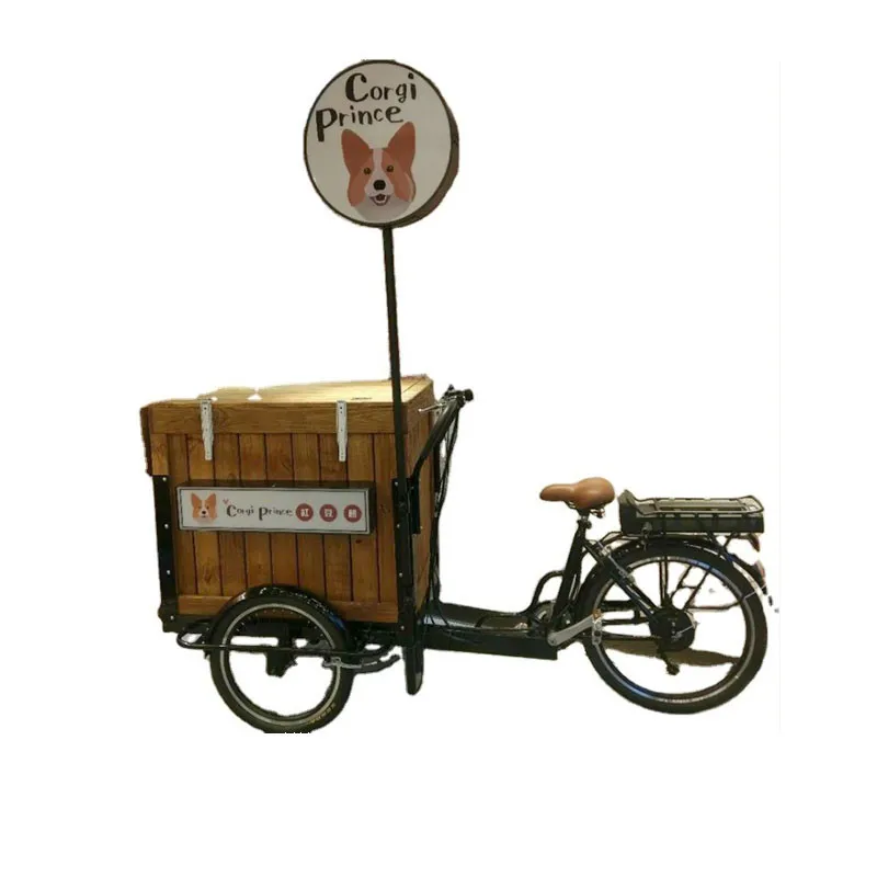Bicicletta elettrica adulta della bici del triciclo del pedale Mobile del  carrello di vendita inversa economica dell'alimento con la cassa di legno  da vendere|Food Processors| - AliExpress