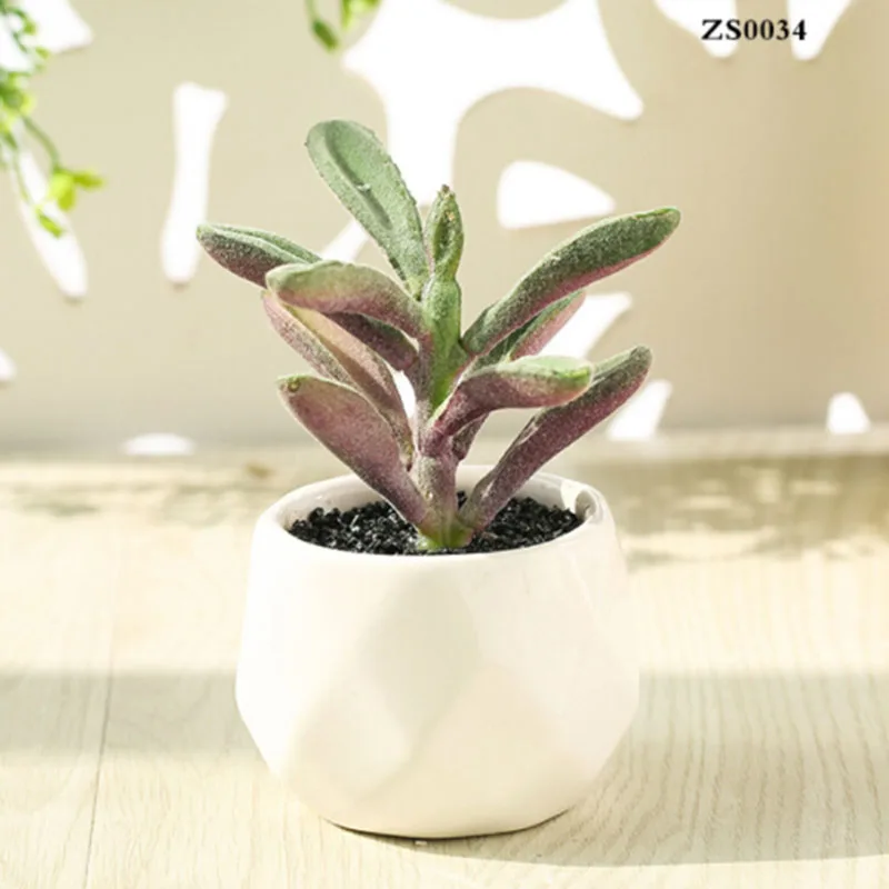

Artificial Plastic Succulent Potted Plant Garden Desert Cactus Decoration