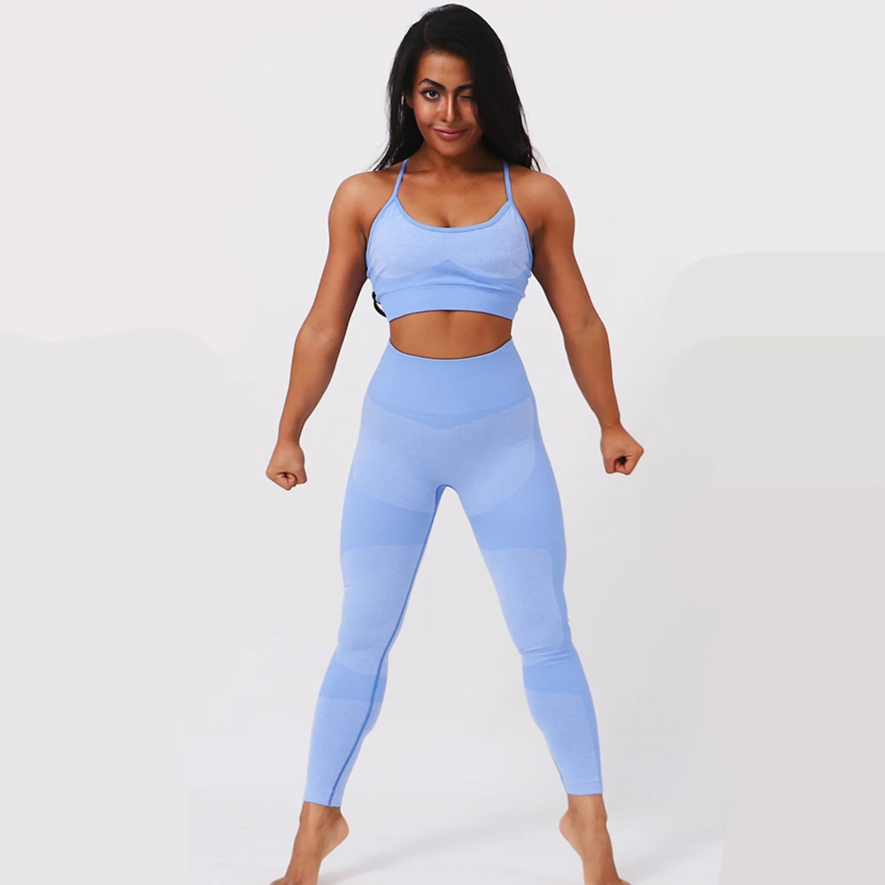 Light blue (Sets) Спортивные комплекты для бега, Женская бесшовная одежда для йоги, бюстгальтер, леггинсы, комплект из 2 предметов, колготки, штаны с высокой талией, леггинсы для спортзала, фитнеса, спортивная одежда - Цвет: Light blue (Sets)