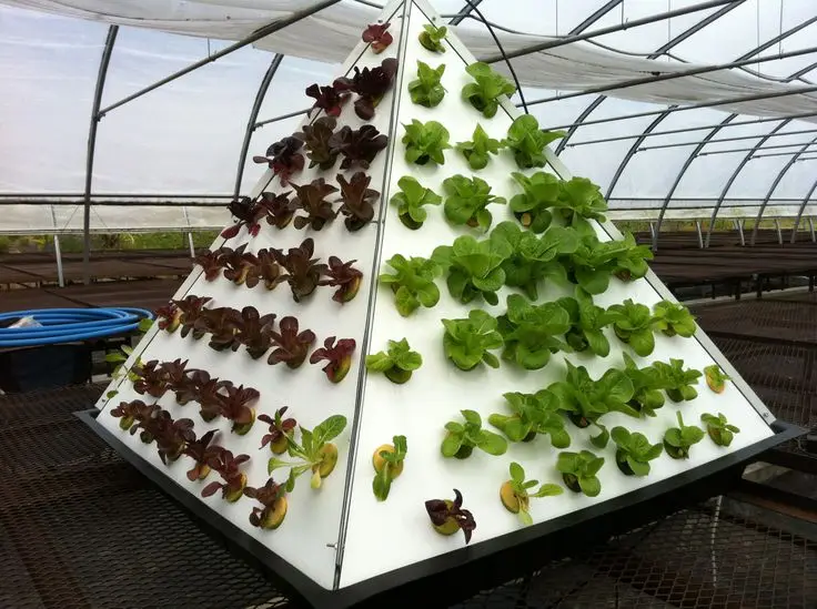 Аэропонный распылитель из ПВХ 8. Система Aeroponics для овощей outsideFull полные фитинги для системы Aeroponics
