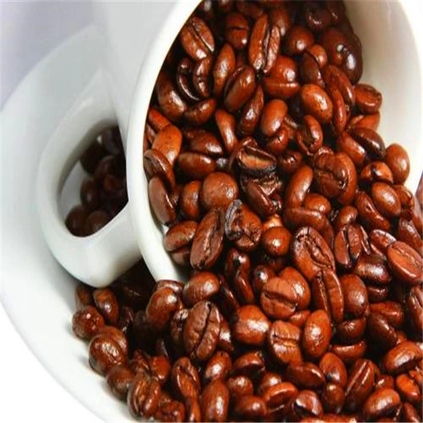 Big-promotion-Pure-Arabic-Coffee-Bean-Outdoor-Bonsai-Potted-Fresh-Arabica-Coffea-Tree-100-Natural-Coffeebean (3)