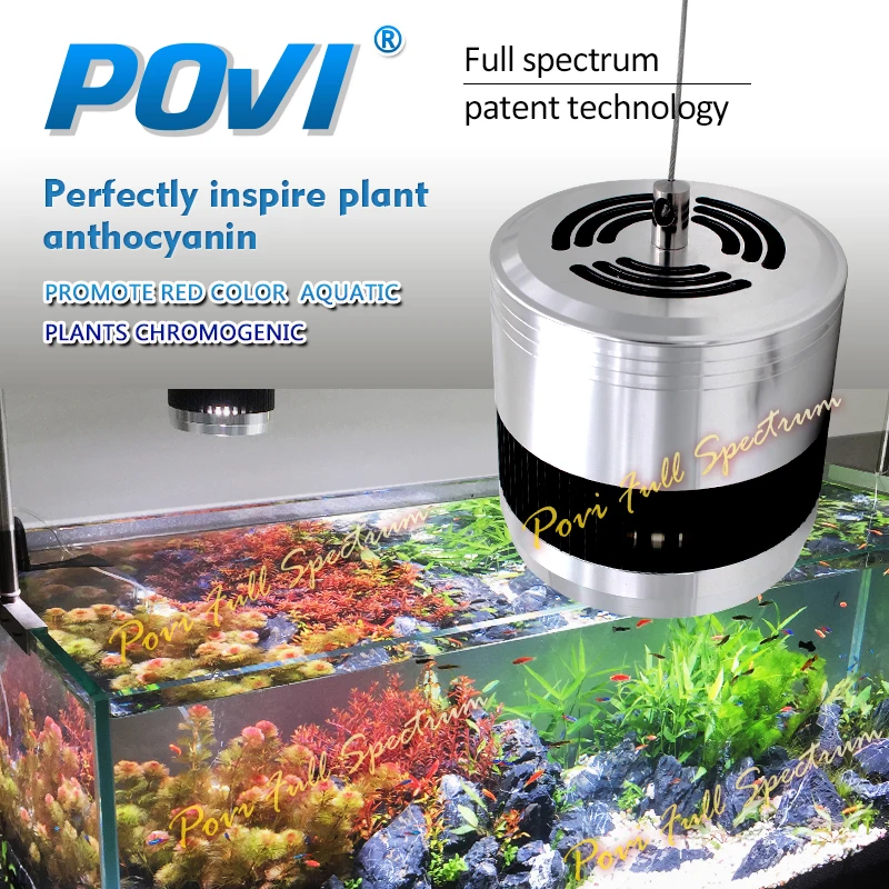 1PCS 100W LAMP