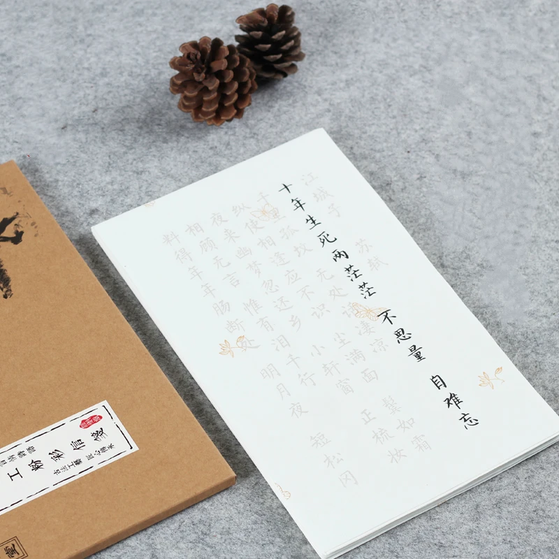 

Brush Pen Calligraphy Copybook Set Small Regular Script Shou Jin Ti Copying Practice Portable Pastel Letterhead Paper Copybook