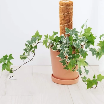 

Coir Totem Pole Coir Moss Totem Pole for Monstera Plant,pers, Ivy Moss Pole for Climbing Indoor Outdoor Plants 6Pcs