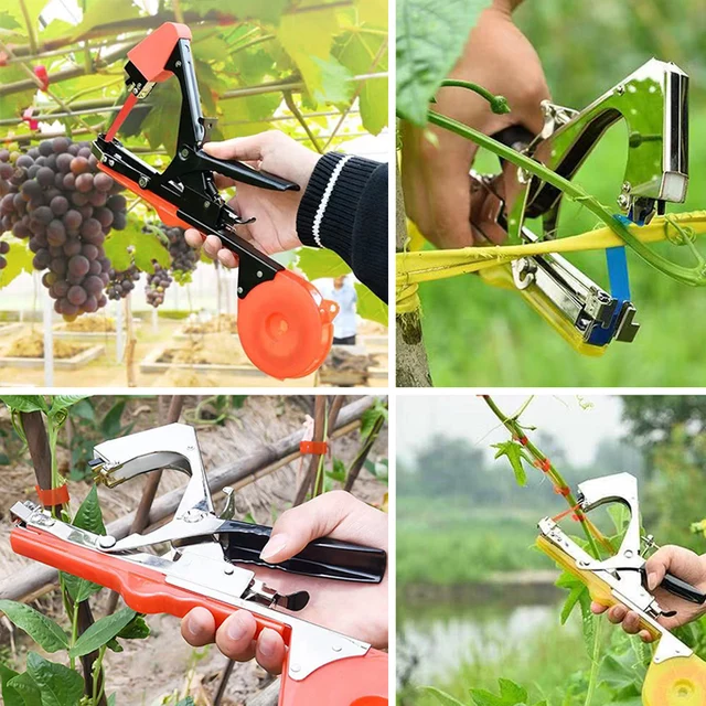 Heman Kertészeti Tapetool, Növényi Gépelőgép Vegetabel, Gát, Paradicsom, Uborka, Bors És Virághoz (Narancs) - Image 5
