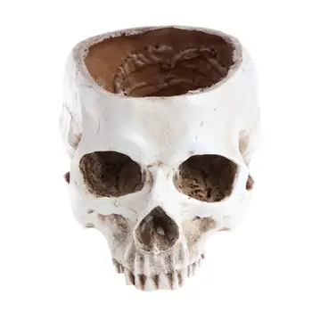 

Human Skull Head Design Flower Pot Planter Container Craft ornaments Home Decor M0XD
